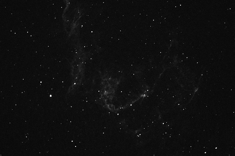 NGC6995_Ha_20070714.png - NGC 6995 (Ha  5min - binning 1x1)- LX200GPS f/6.3 - ST-8XME (0�C) - Renens 14/07/2007